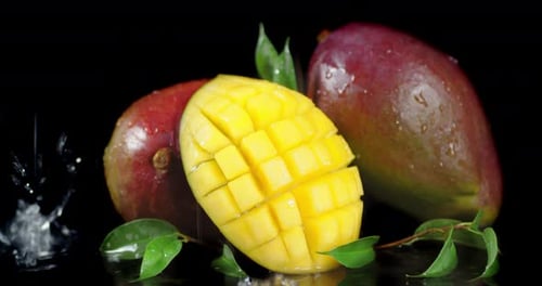 Ripe Mango with Leaves Falling Drops of Water with Splash