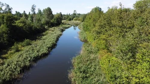 Slow Flight Over Blue River In Green Valley On Sunny Summer Day, Aerial