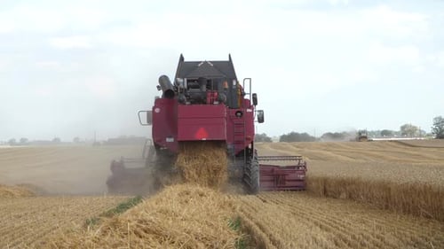 Red Harvester Reaps a Large Field of Wheat