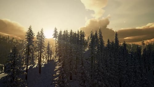 Paisaje de invierno en un atardecer