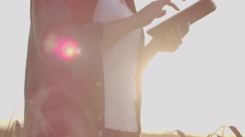 A Female Farmer in a Plaid Shirt with a Tablet Computer in Her Hands is Walking Across a Wheat Field