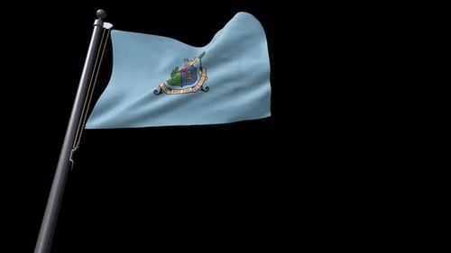 Realistic Waving Flag Animation with Official Emblem