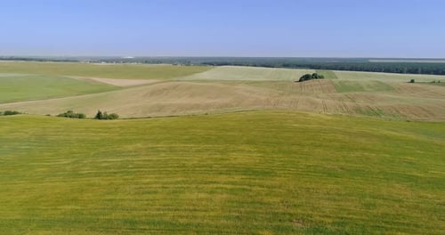 Voo sobre o campo, campos verdes amarelos