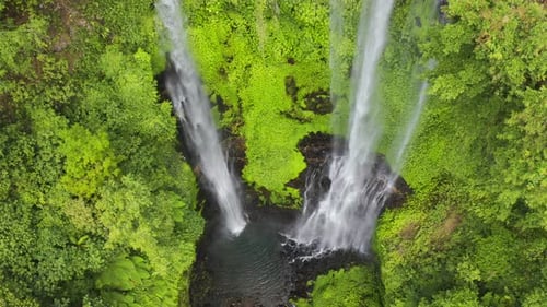 Tropical Waterfall Sekumpul in Green Rainforest and Mountain Jungle, Bali, Indonesia, Aerial View