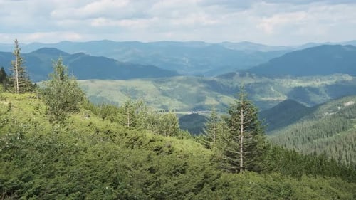 Landscape View of Green Hills in the Valley of Mountains with Coniferous Forests