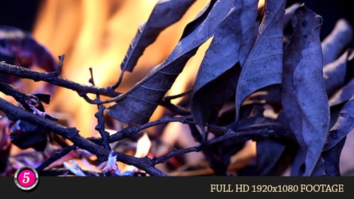 Fire Burns Inflames 3