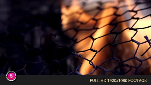 Burning Fire Behind Dark Wire Fence Close-Up