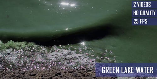 Eau verte dans un étang pollué