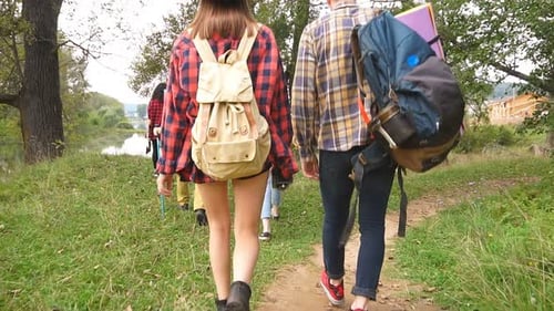Group Friends Walking in a Forest, Looking for a Place To Stay