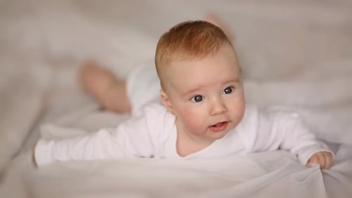 Portrait of Four Month Old Baby Lying on His Stomach