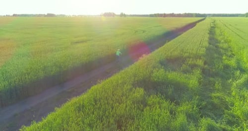 Aerial View on Young Boy, That Rides a Bicycle Thru a Wheat Grass Field on the Old Rural Road