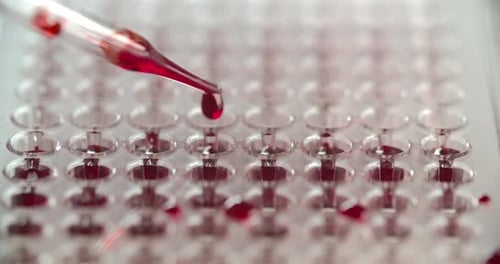 Blood Analyzer Plate