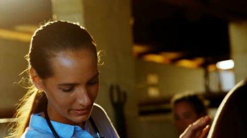 Veterinarian Examines Animal in Indoor Setting