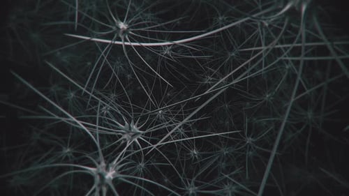 Brain Neuron Cells