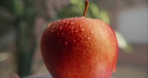 Roter Apfel dreht sich