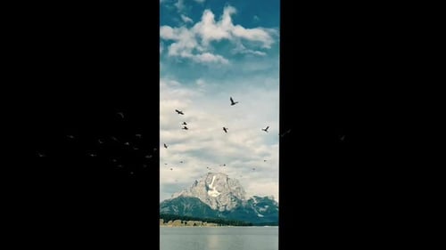 Canards volants 4K
