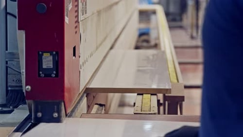 Woodworking Machine Cutting Wood in Factory