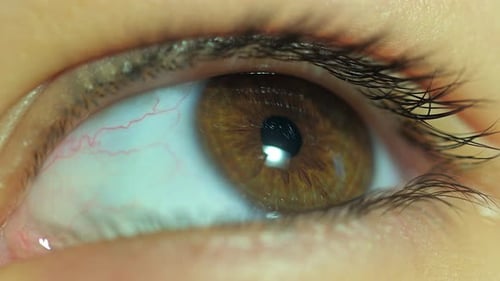 Detailed Macro View of a Human Eye