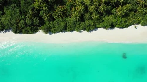 Aerial flying over tourism of relaxing tourist beach holiday by shallow water and white sand backgro