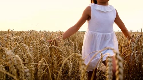 A Child in a Wheat Field