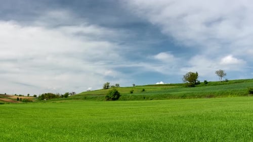 Rural landscape