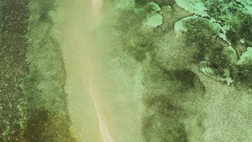 Tropical Island Sandy Beach Philippines Palawan