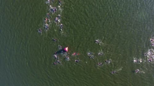 Swimmers at Triathlon Race Bypass Buoy Floating on Water