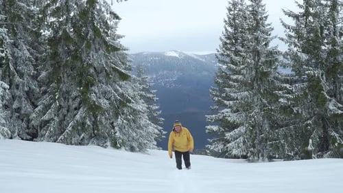 A Man Walks in the Winter Forest