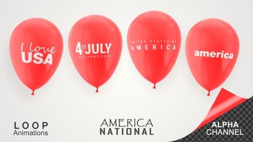USA America National Day Celebration Balloons