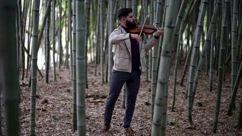 Talented Musician is Playing Fiddle in Nature Musician is Rehearsing in Bamboo Grove