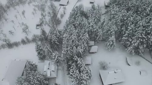 Aerial shot of pines and country houses covered in snow while it's snowing. Beautiful panoramic view
