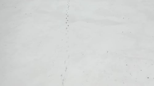 Human with Heavy Backpack Walking By Snow Desert in Alaska