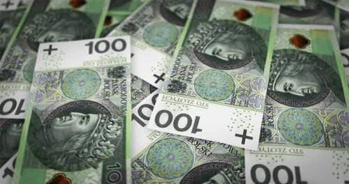 Polish Zloty growing pile of money seamless loop