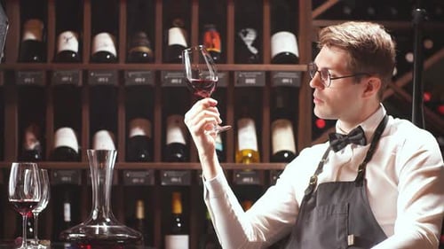 Professional Wine Taster Examining Red Wine in Cellar
