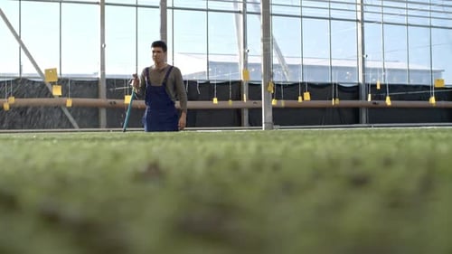 Worker Watering Plants in Greenhouse