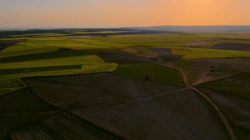 Golden Sunrise Over Rolling Green Farmland