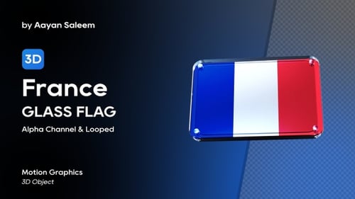 Animated French Flag on Glossy 3D Plate