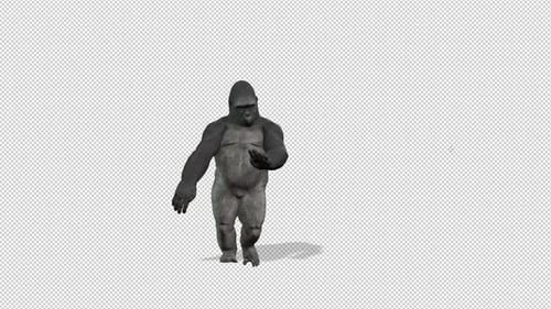 Gorilla-Samba-Tanz