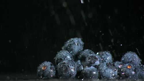 Water falling on blueberries on black background