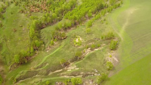 Countryside Ravines
