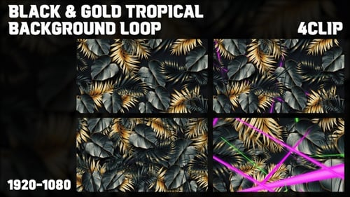 Tropical Background 4Clip Loop