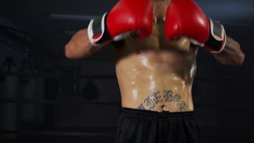 Muscular Boxer With Gloves Raises Arms in Ring