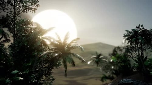 Coco Palm Trees Tropical Landscape