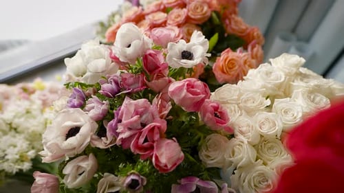 Wholesale Warehouse of Flowers