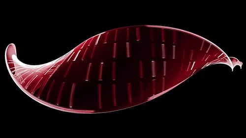 Abstract Fluid Ribbon Flowing Animation Loop