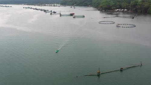 Fischerei auf Luzon Island, Philippinen. Fischfarm, Ansicht von Oben