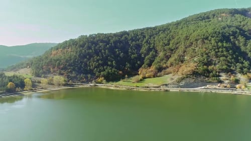 Lake and Forest