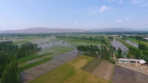 Aerial View of Green Rural Farmland Landscape