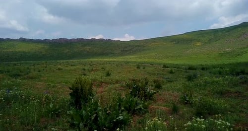 A Green Field and Hills Full Of Flowers and Plants In Clouds Shadow Under The Blue Sky