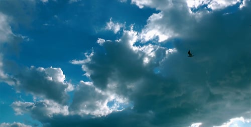 Clouds and the Birds